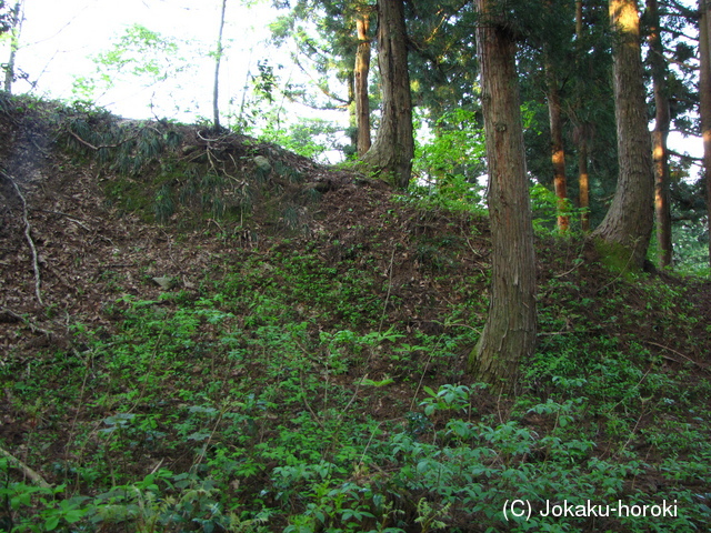 越後 下倉山城の写真