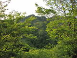 越後 下倉山城の写真