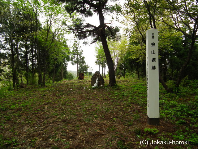 越後 金山城の写真