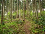 越後 金山城の写真