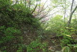越後 竹俣城の写真