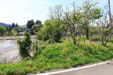 越後 戸倉城の写真