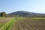 越後 鳥坂城(妙高市)の写真