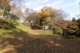 越後 鳥坂城(妙高市)の写真