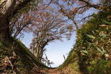 越後 鳥坂城(妙高市)の写真