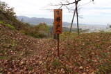 越後 鳥坂城(妙高市)の写真
