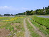 越後 鳥坂城(胎内市)の写真