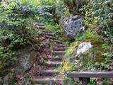 越後 鳥坂城(胎内市)の写真