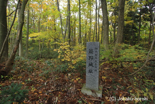 越後 蕨野城の写真