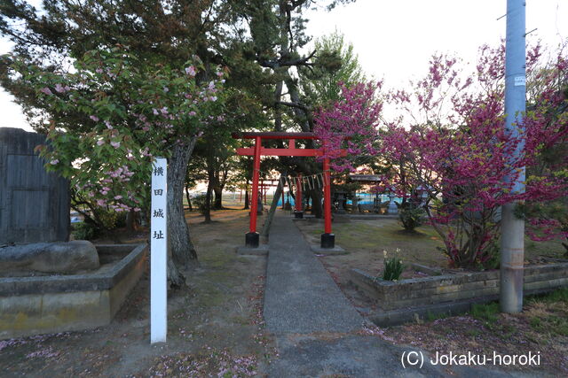 越後 横田城の写真