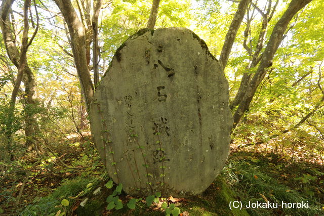 越後 八石城(善根城)の写真