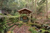 越前 安居城の写真