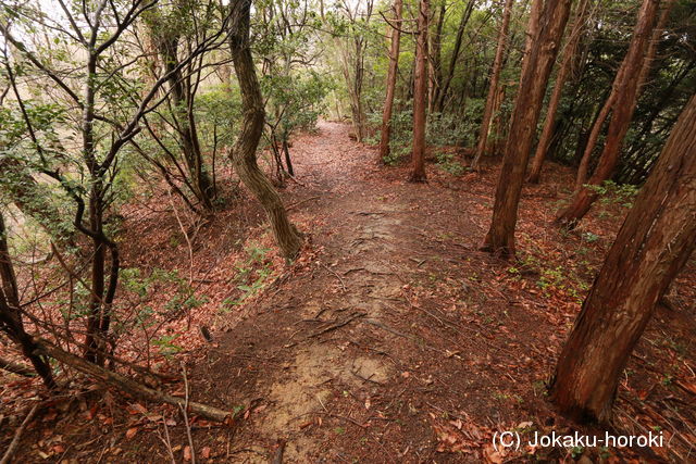 越前 雨乞山城の写真