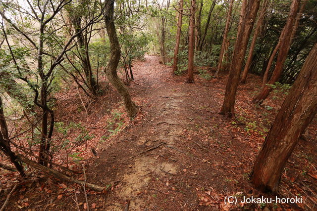 越前 雨乞山城の写真