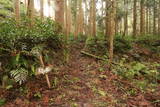 越前 雨乞山城の写真