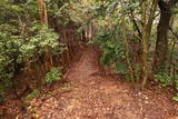 越前 雨乞山城の写真