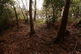 越前 雨乞山城の写真