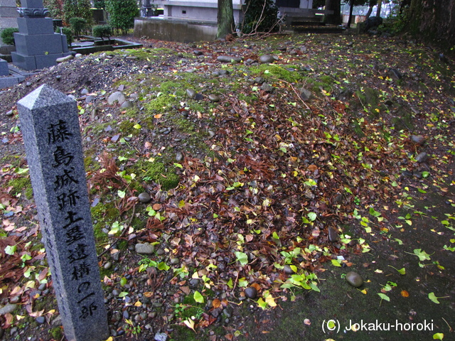 越前 藤島城の写真