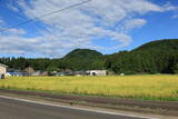 越前 蕗野寺城の写真