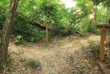 越前 蕗野寺城の写真