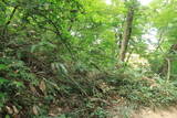 越前 蕗野寺城の写真