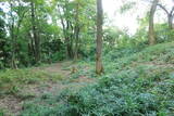 越前 蕗野寺城の写真