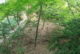 越前 蕗野寺城の写真