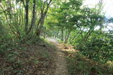 越前 蕗野寺城の写真