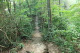 越前 蕗野寺城の写真