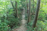 越前 蕗野寺城の写真