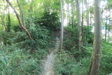 越前 蕗野寺城の写真