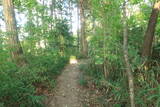 越前 蕗野寺城の写真
