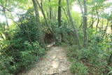 越前 蕗野寺城の写真