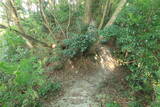 越前 蕗野寺城の写真