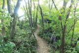 越前 蕗野寺城の写真