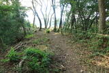 越前 蕗野寺城の写真