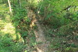 越前 蕗野寺城の写真