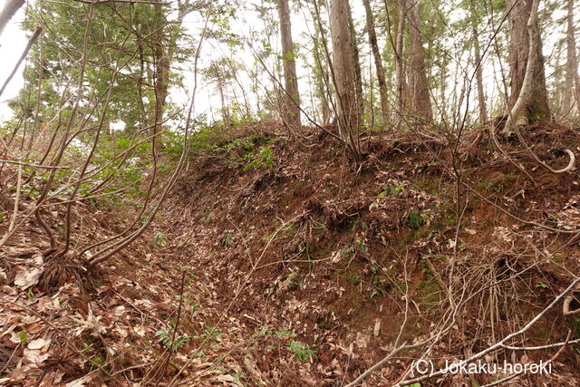 越前 平泉寺北谷砦1の写真