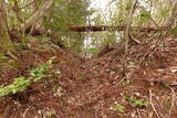 越前 平泉寺北谷砦1の写真