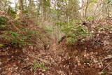 越前 平泉寺北谷砦1の写真