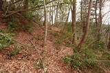 越前 平泉寺北谷砦1の写真