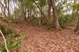 越前 平泉寺北谷砦1の写真