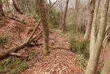 越前 平泉寺北谷砦1の写真