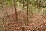 越前 平泉寺北谷砦1の写真