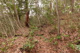 越前 平泉寺北谷砦1の写真