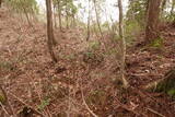 越前 平泉寺北谷砦1の写真