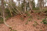 越前 平泉寺北谷砦1の写真