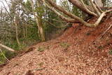 越前 平泉寺北谷砦1の写真