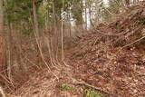 越前 平泉寺北谷砦1の写真