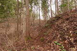 越前 平泉寺北谷砦1の写真
